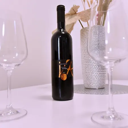 Airport Tri Hrasta Apartment Podgorica