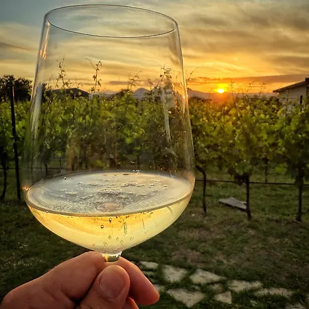 Airport Tri Hrasta Apartment *