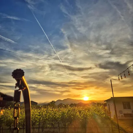 Apartman Airport Tri Hrasta *