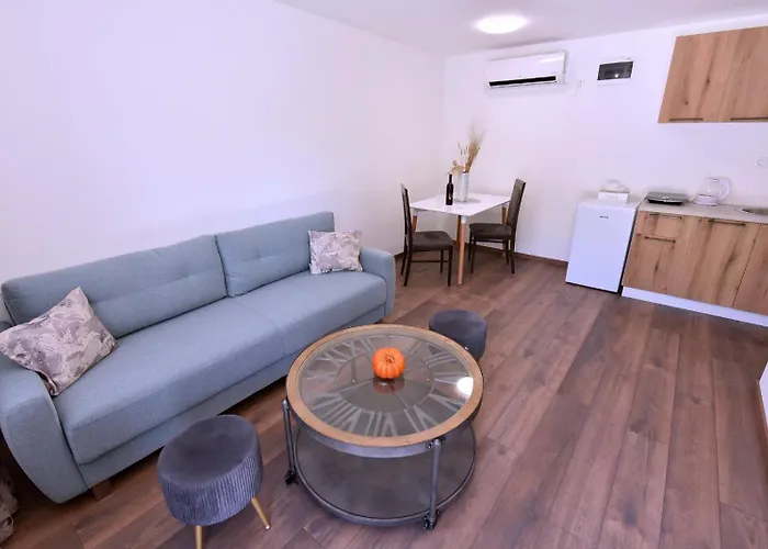 Airport Tri Hrasta Daire *