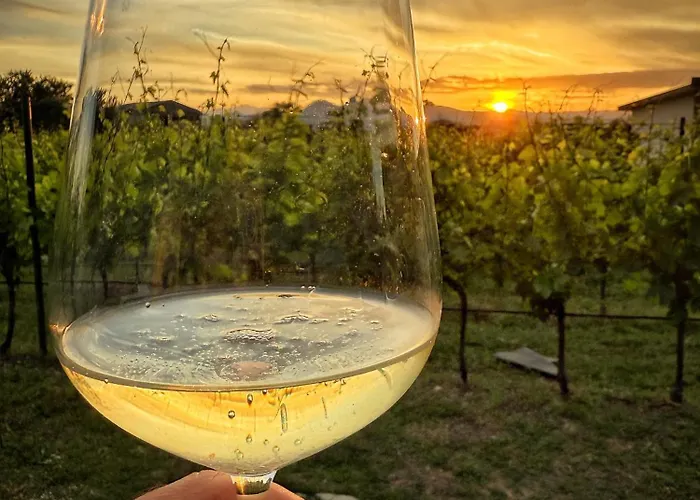 Airport Tri Hrasta Daire *